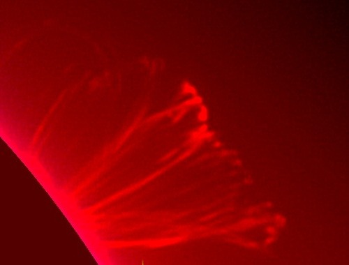 Prominence 04/21/02 Vesta Pro