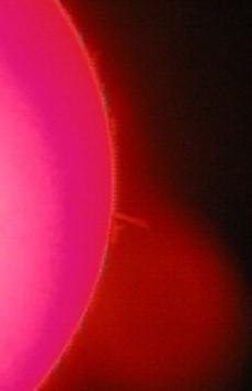 Prominences 7/14/98