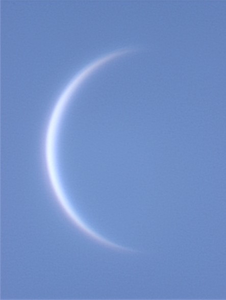 Venus - 20 june 2004